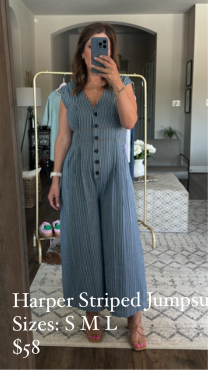 Harper Striped Maxi Jumpsuit/ Washed Denim/FINAL SALE